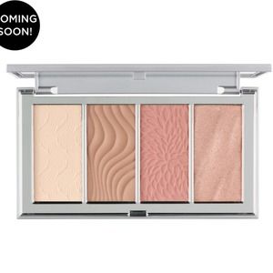 Pur 4 in 1 skin perfecting powders fair light